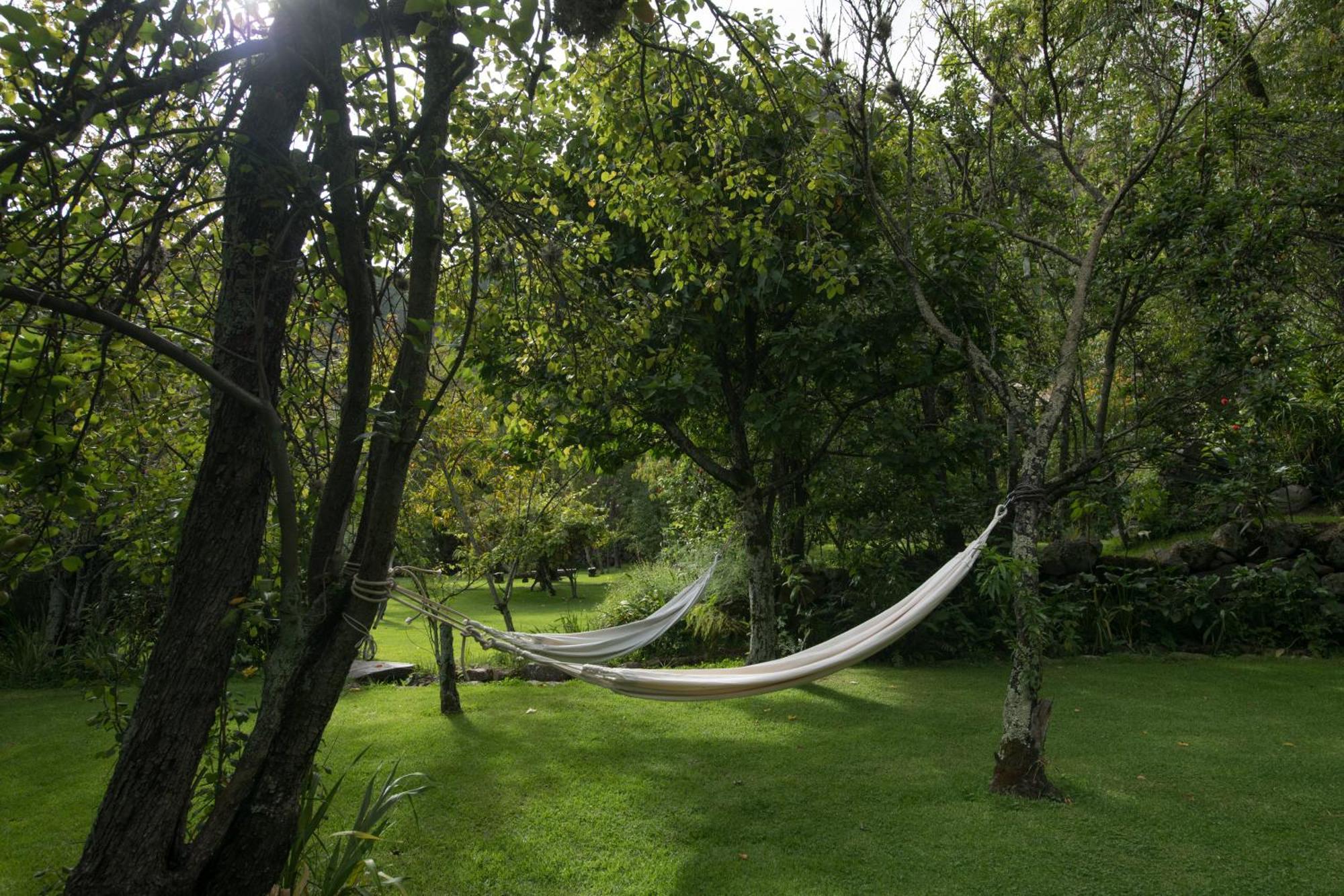 Andenia Boutique Hotel, Sacred Valley Урубамба Екстер'єр фото