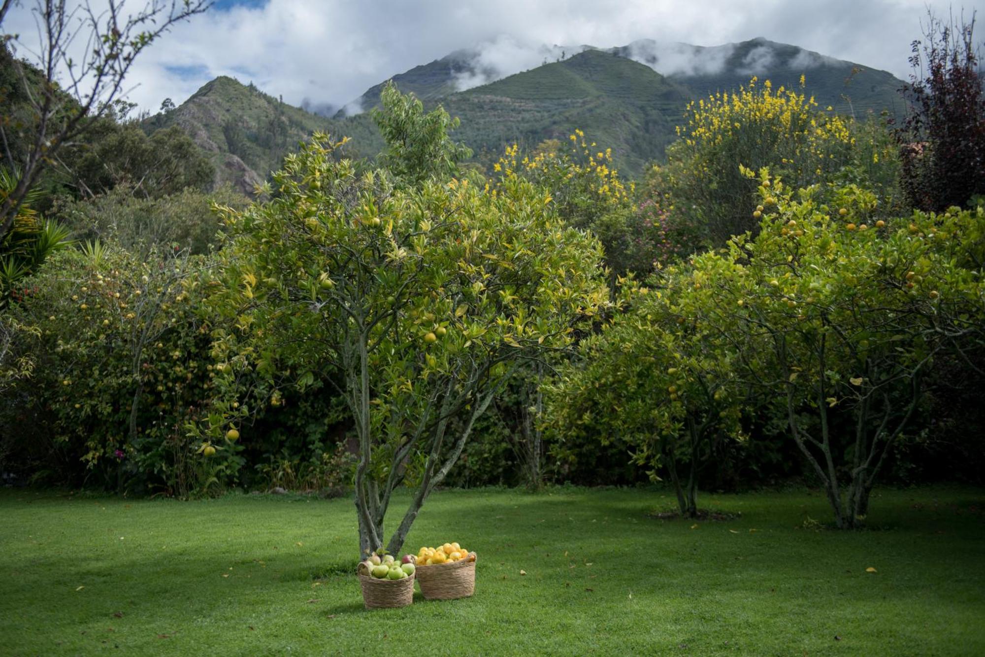 Andenia Boutique Hotel, Sacred Valley Урубамба Екстер'єр фото